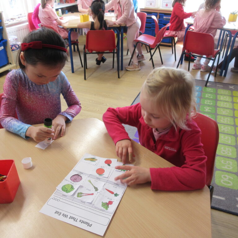 Two young girls sit at a wooden table in a classroom, cutting and gluing a worksheet with pictures of vegetables; one wears a red headband.