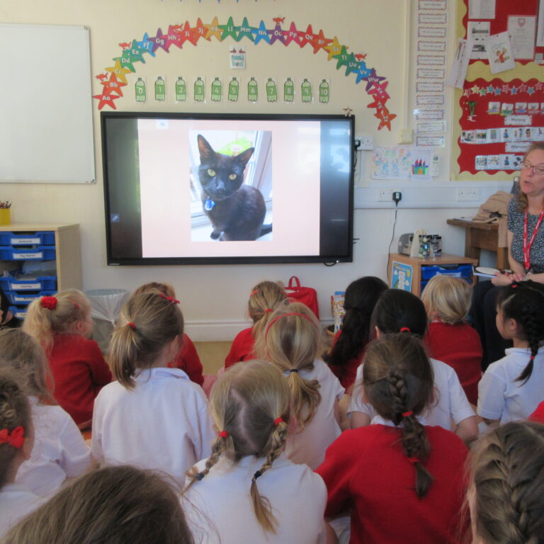 Classroom presentation: a teacher speaks to children as a black cat photo appears on a large screen at the front of the room
