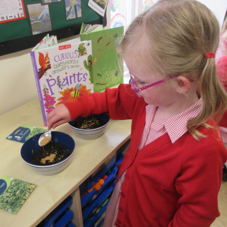Child in a red sweater sitting at a classroom table, sprinkling seeds into a bowl of soil with seed packets nearby.