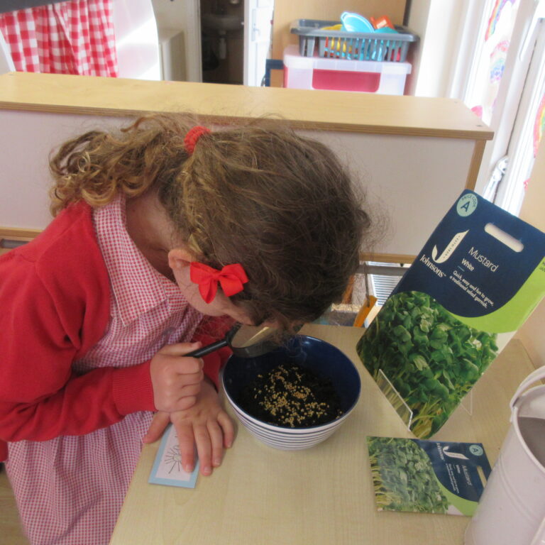 Child in red clothing scooping seeds from a bowl at a classroom desk with a spoon nearby.
