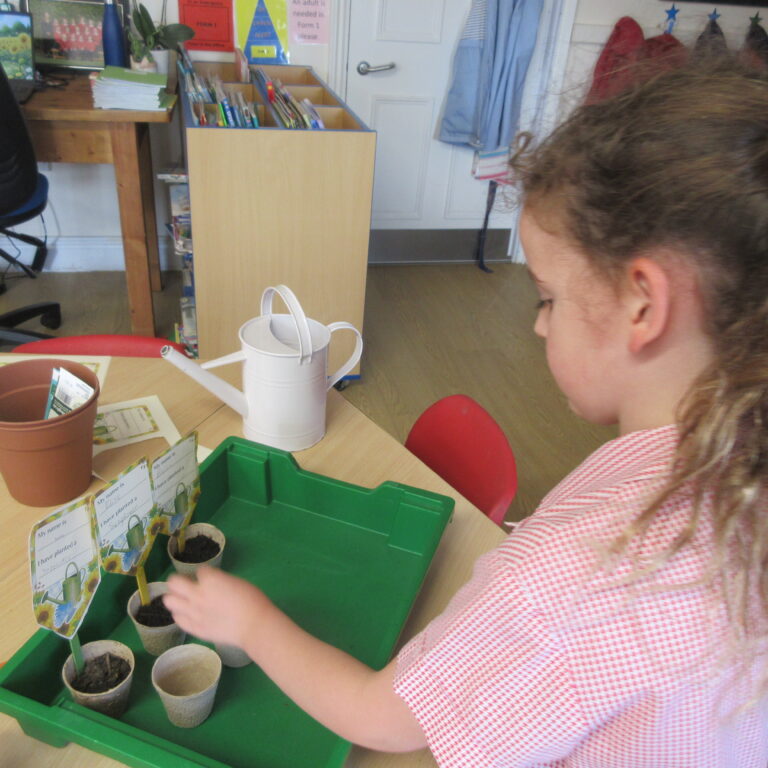 Child planting seeds in small pots at a classroom table with a green seed-tray and planting cards nearby.