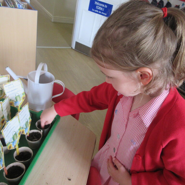 Child in red cardigan plants seeds into small pots at a classroom activity tray with seed cards visible on the table.