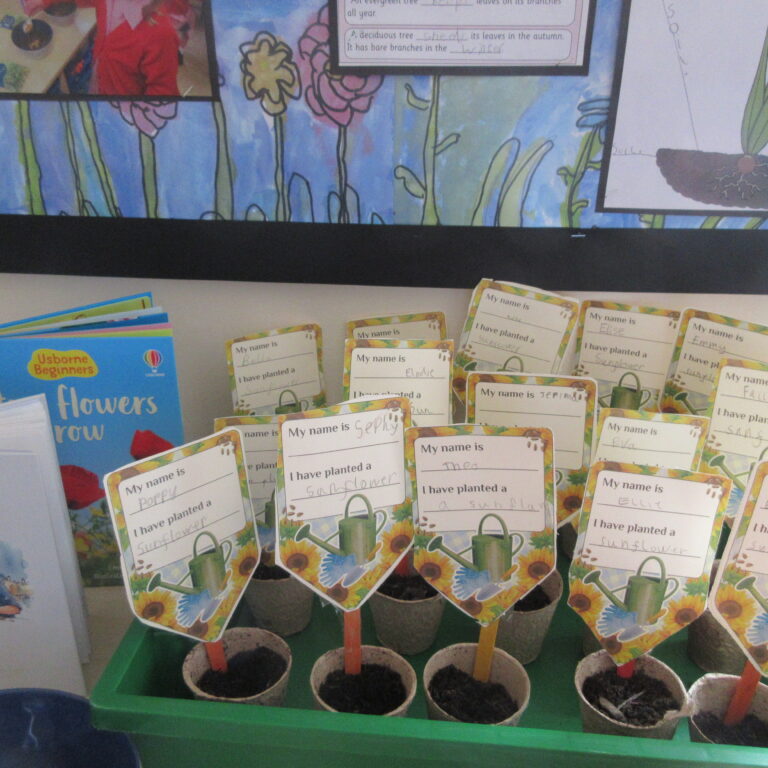 Display of seed-planting activity cards attached to colorful flower-stem sticks in small pots on a green tray.